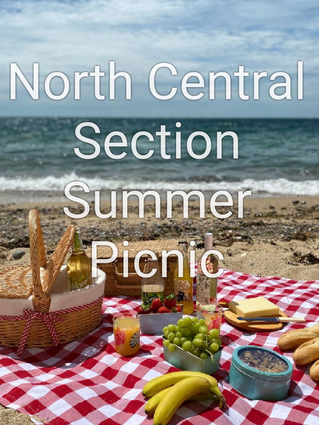 Summer Picnic 