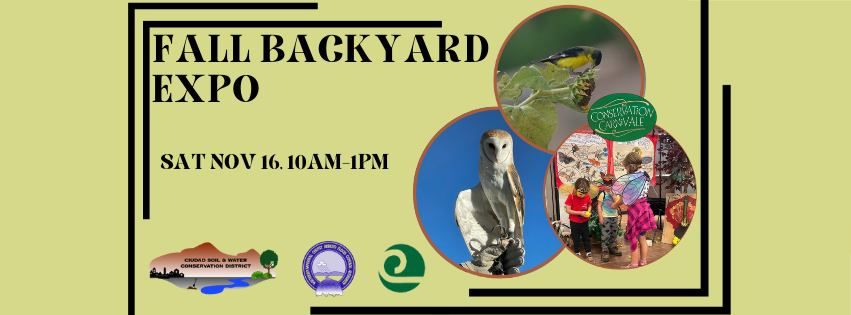 Keep Rio Rancho Beautiful - Fall Backyard Expo