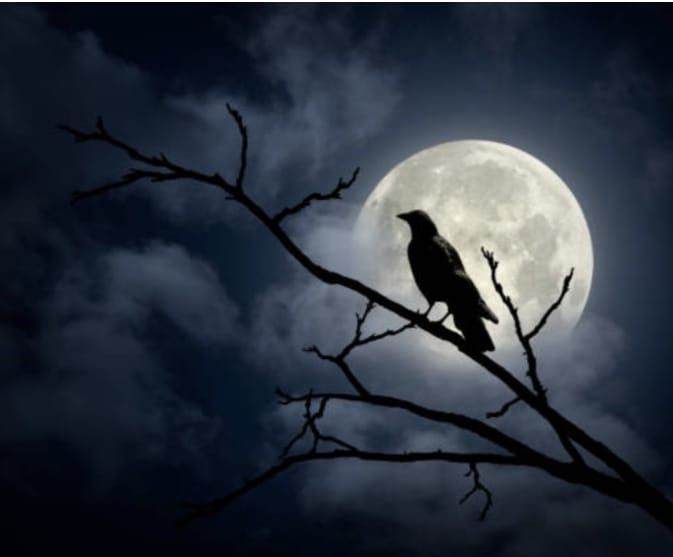 Crow Full Moon Ritual 