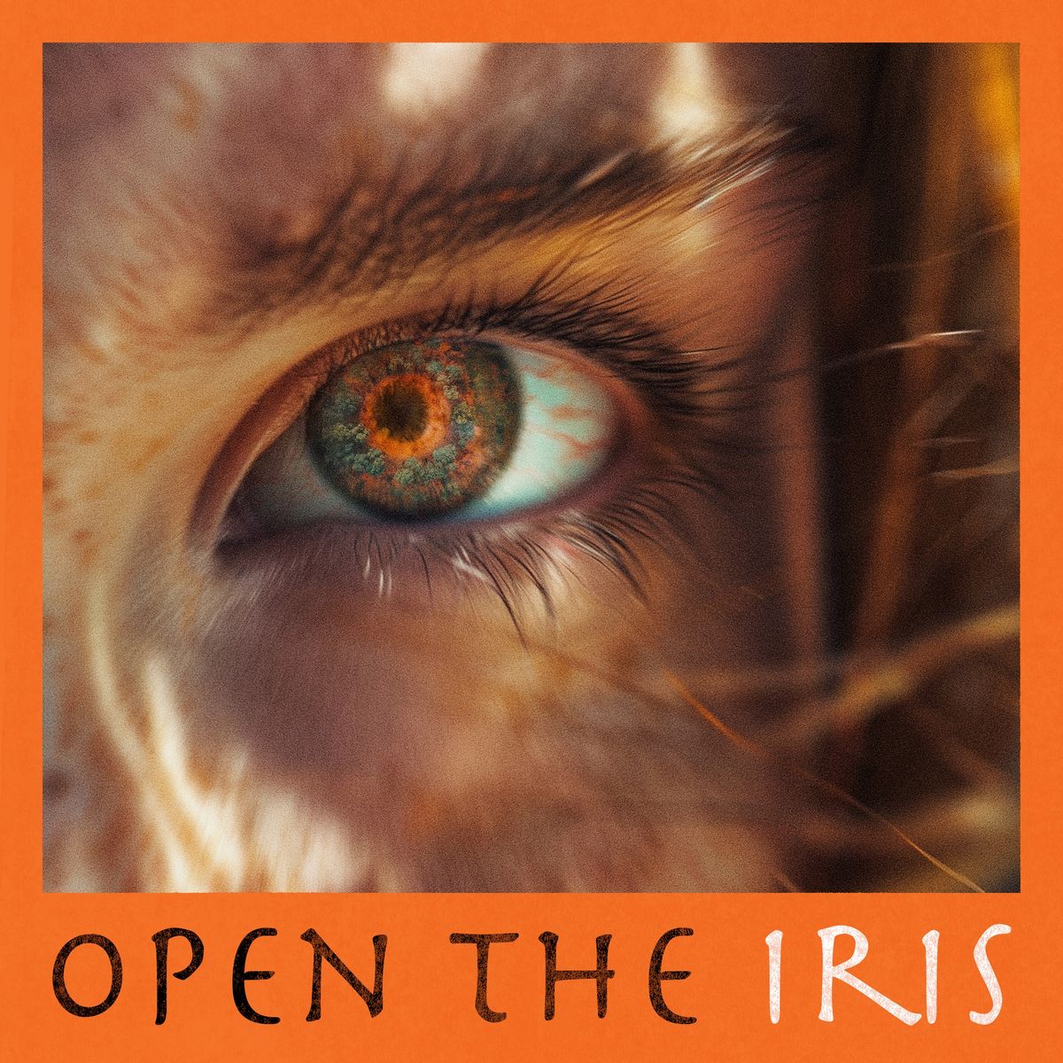 OPEN THE IRIS - Album Launch   ROD HARRISON   FREE ENTRY 