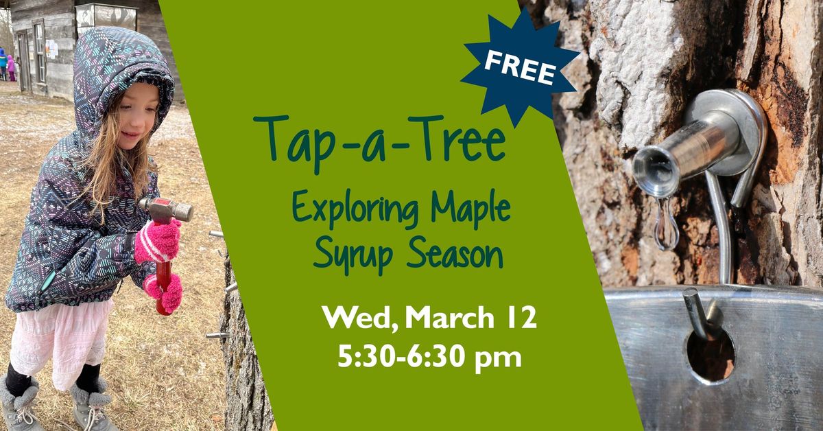 Tap-A-Tree: Exploring Maple Syrup Season