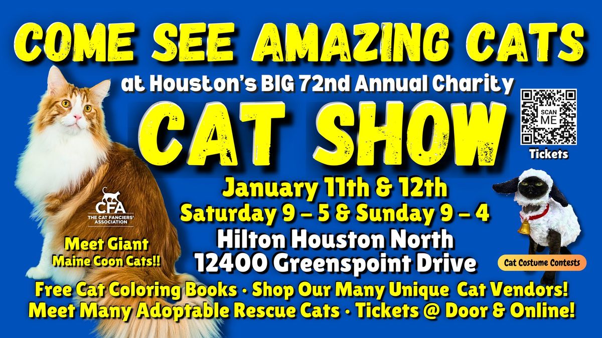 Come See Amazing Cats at the 72nd PURR-FECT HOUSTON Charity Cat Show & Adoption Event Jan. 11 & 12!