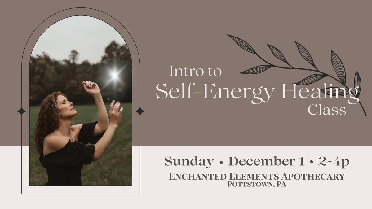 Intro to Self-Energy Healing Class