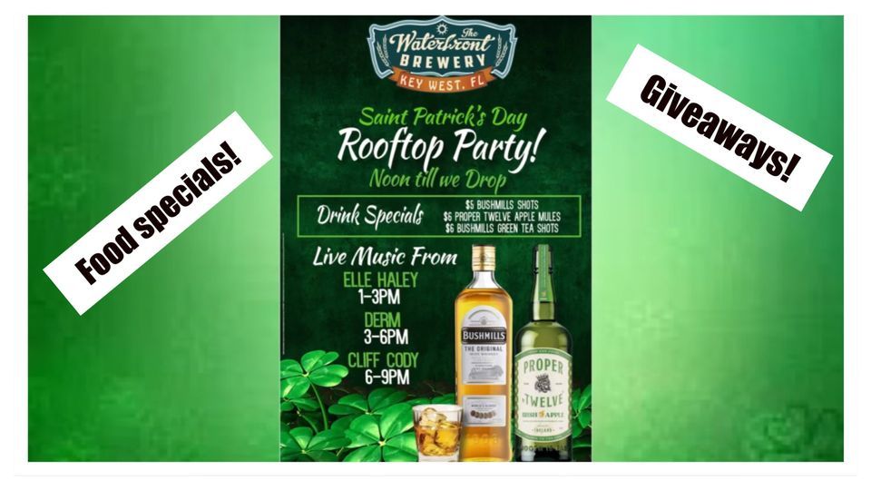St Patricks's Day Roof Party!  YUP!