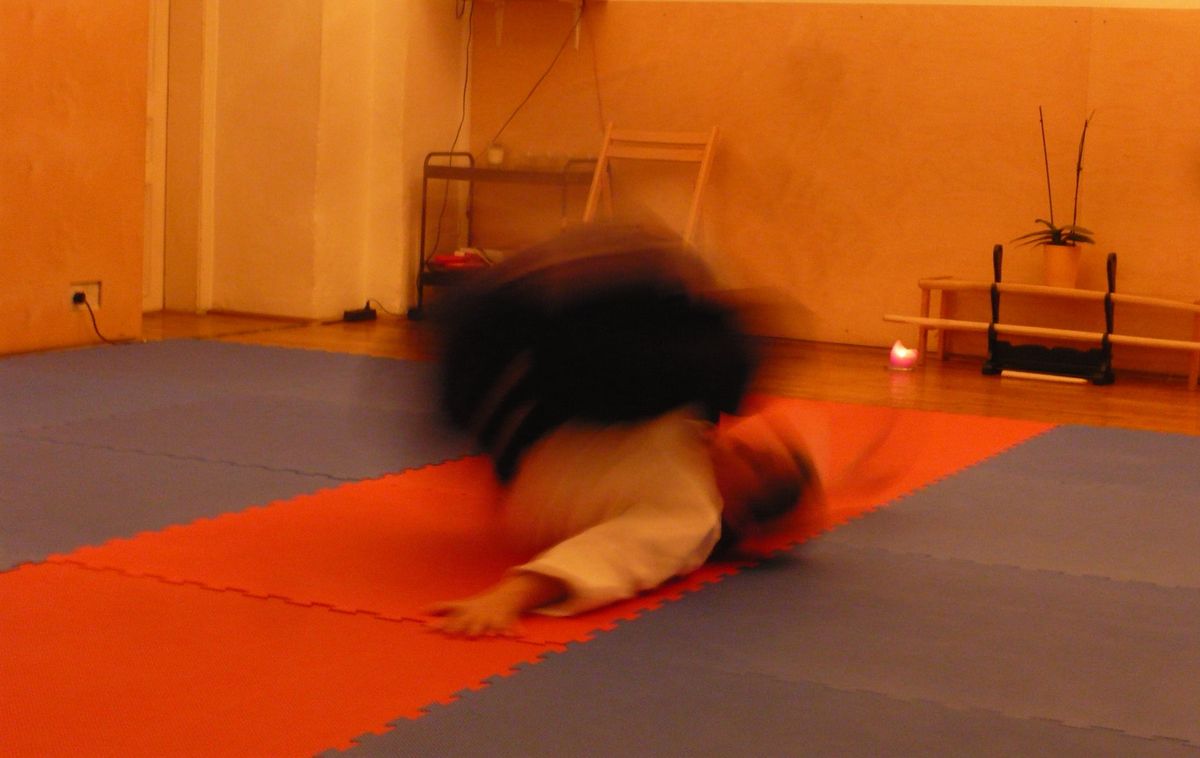 Aikido - Autumn Training \/\/ Claudia Heu (AT)