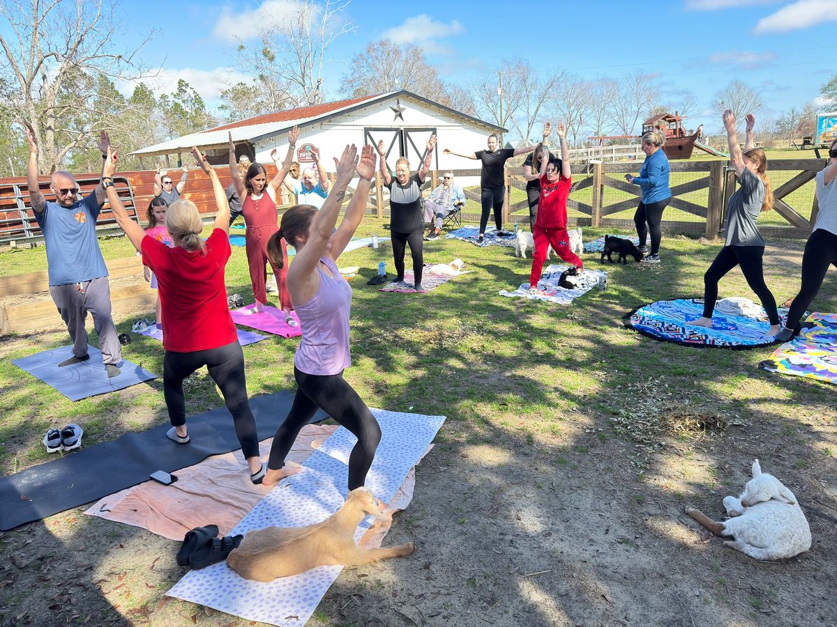 BABY GOAT YOGA