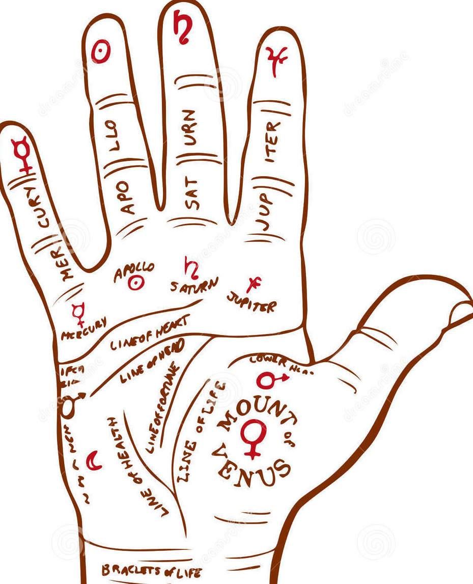 Learn Palmistry in 2 easy Lessons
