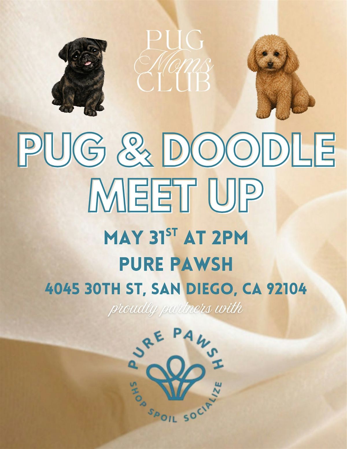 San Diego Pug & Doodle Meetup with Pug Moms Club