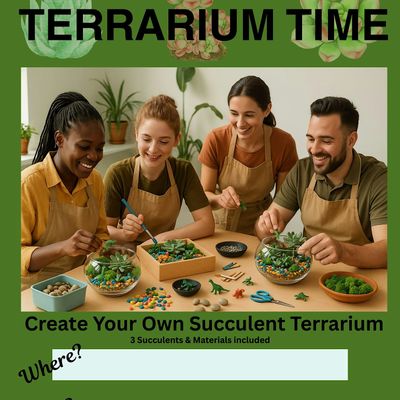 Terrarium Time MN