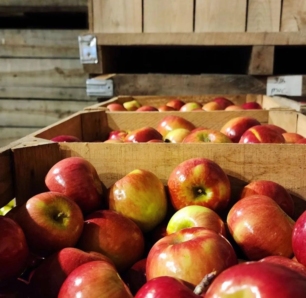 36th Annual Apple Fest 