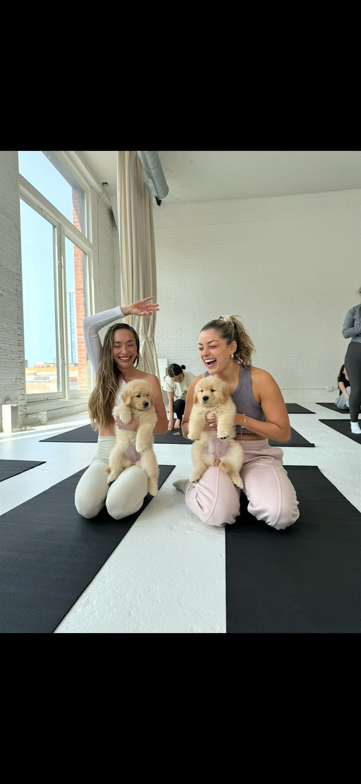 Golden Retriever Puppy Yoga