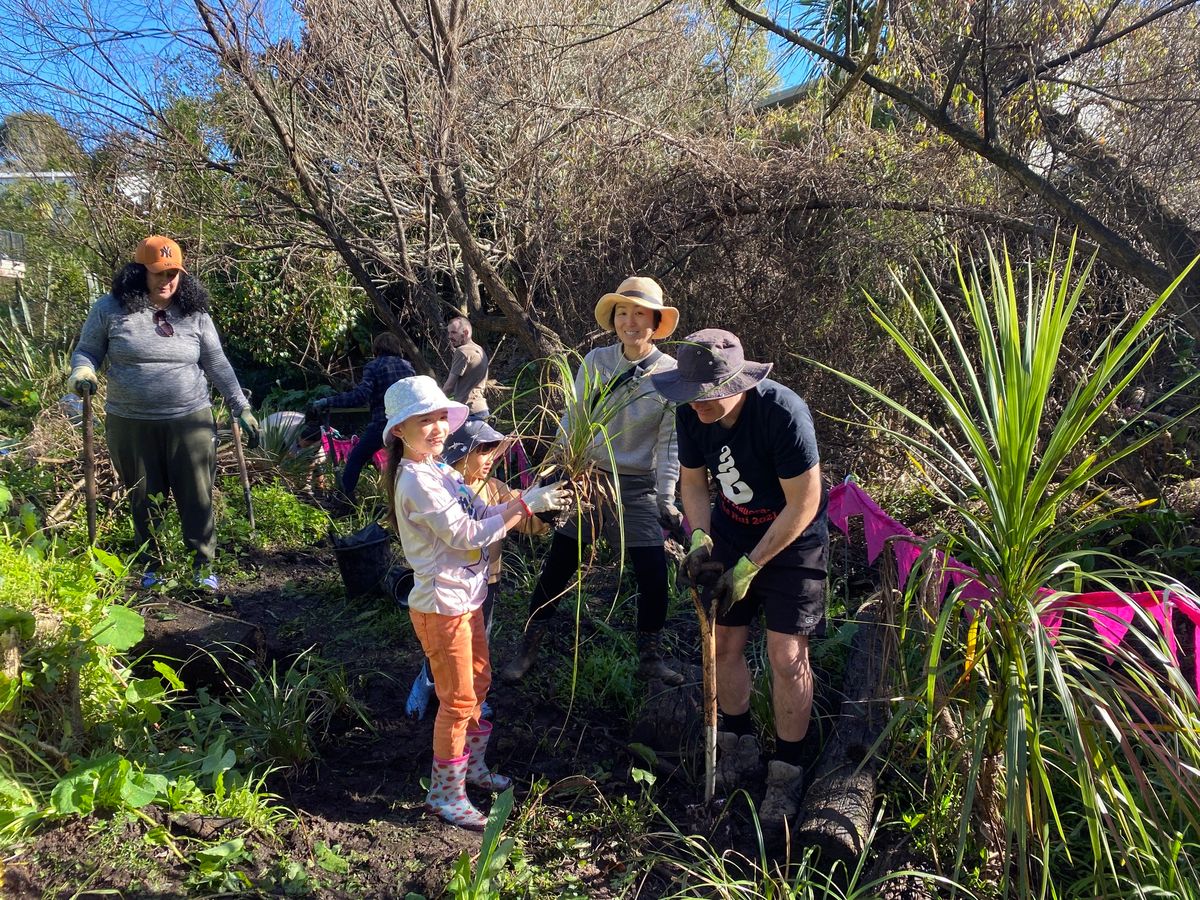 Sunnyvale Stream Care Session