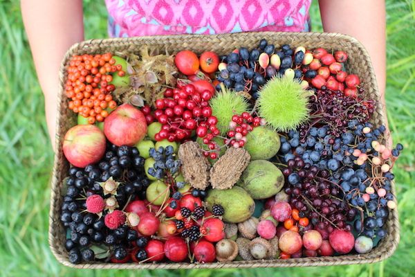 Summer Foraging Workshop