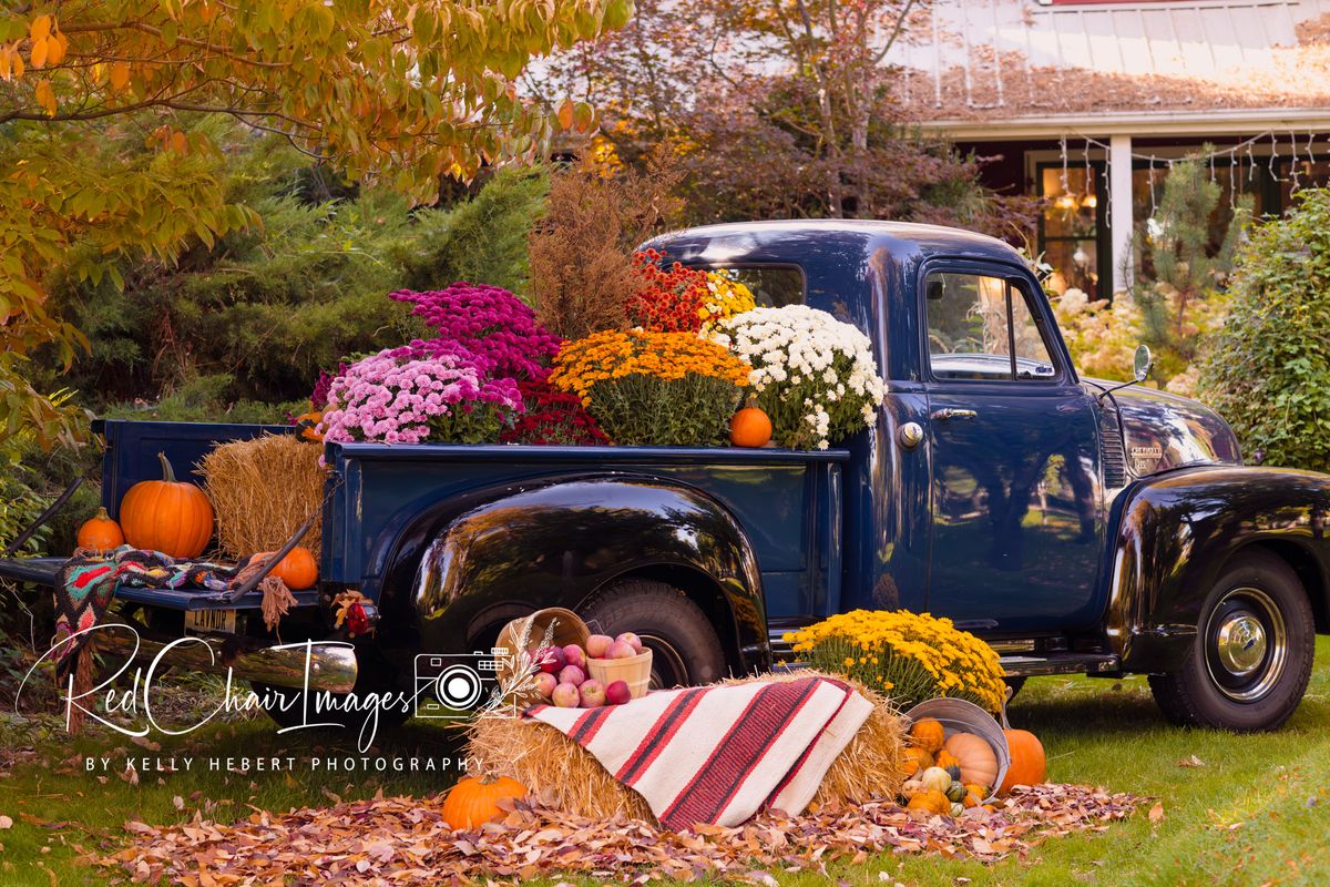 Fall Mini Sessions