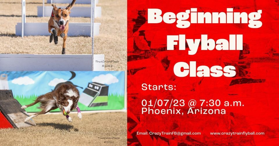 New Flyball Pups & People (flyball class) -FULL, Pecos Park Rd, Phoenix ...