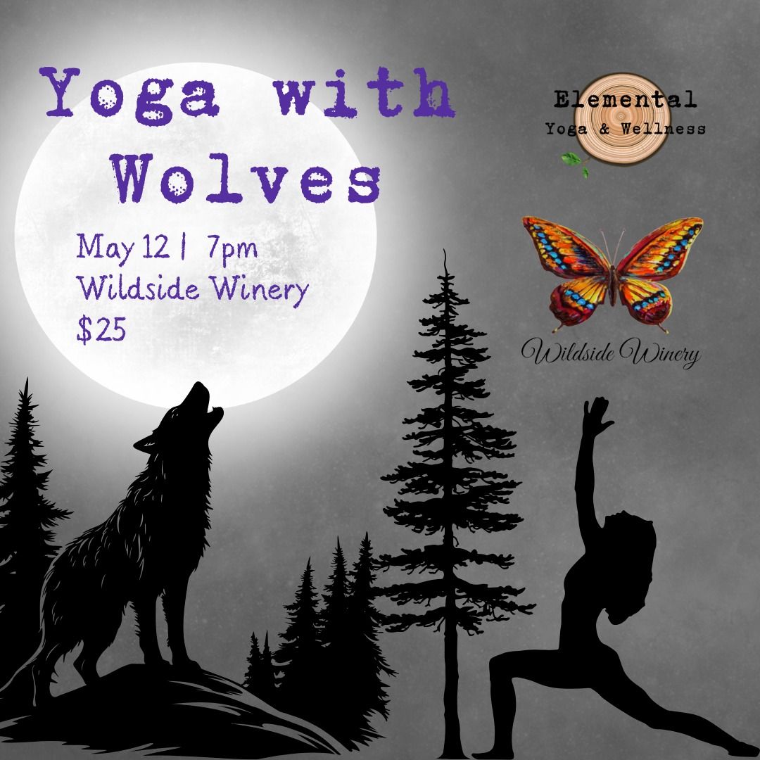 Yoga with Wolves Under the Moon