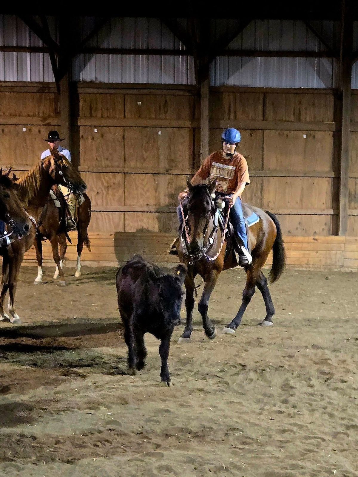 April Cattle Play Day