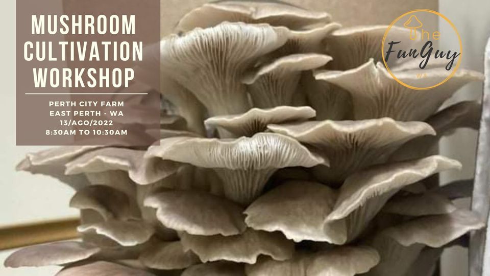 Mushroom Growing Workshop - Perth City Farm