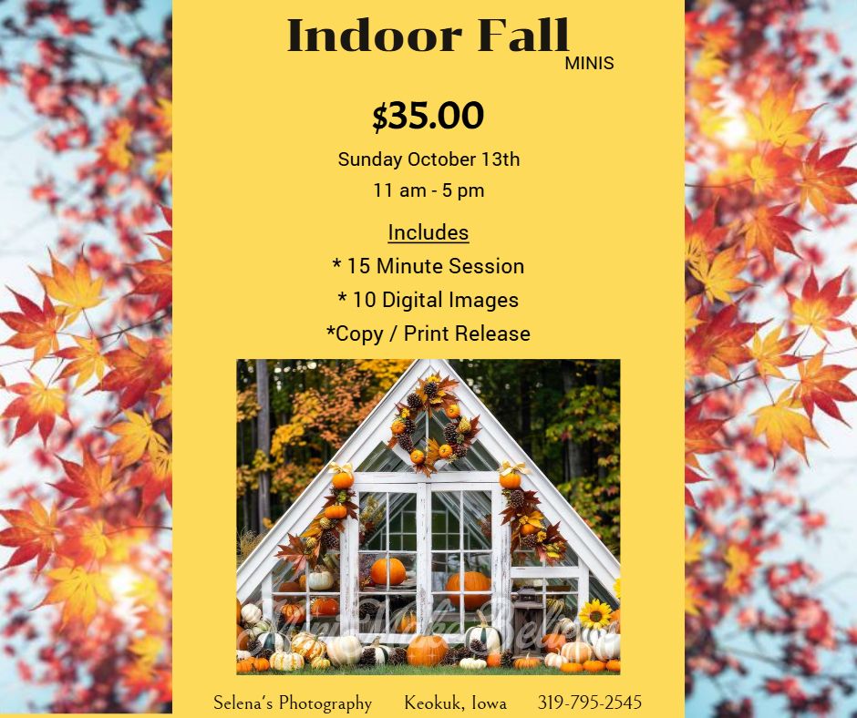 Indoor Fall Mini's