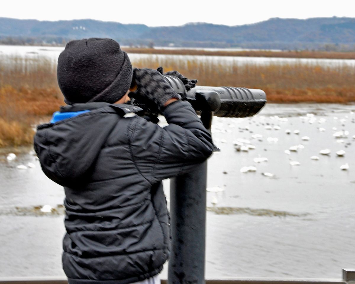 Naturalist at the Brownsville Overlook 