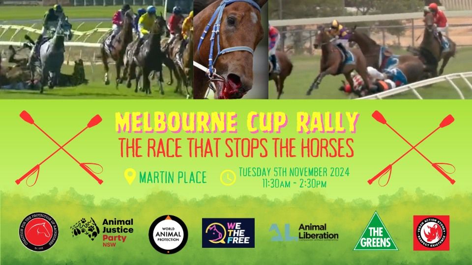 Melbourne Cup Rally - The race that stops the horses