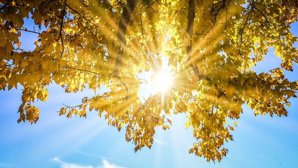 2023 Choose Kind Camp, Camp T.N. Spencer Park, Concord, 3 June to 4 June