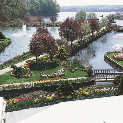 Swan Club On The Harbor
