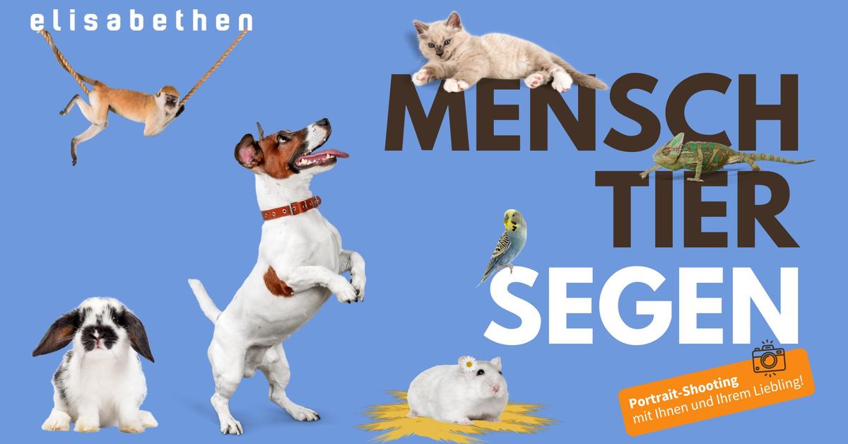 Mensch-Tier-Segen