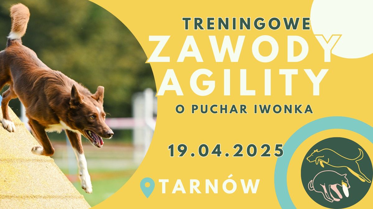 Treningowe Zawody Agility o Puchar Iwonka 19.04.2025 Tarn\u00f3w