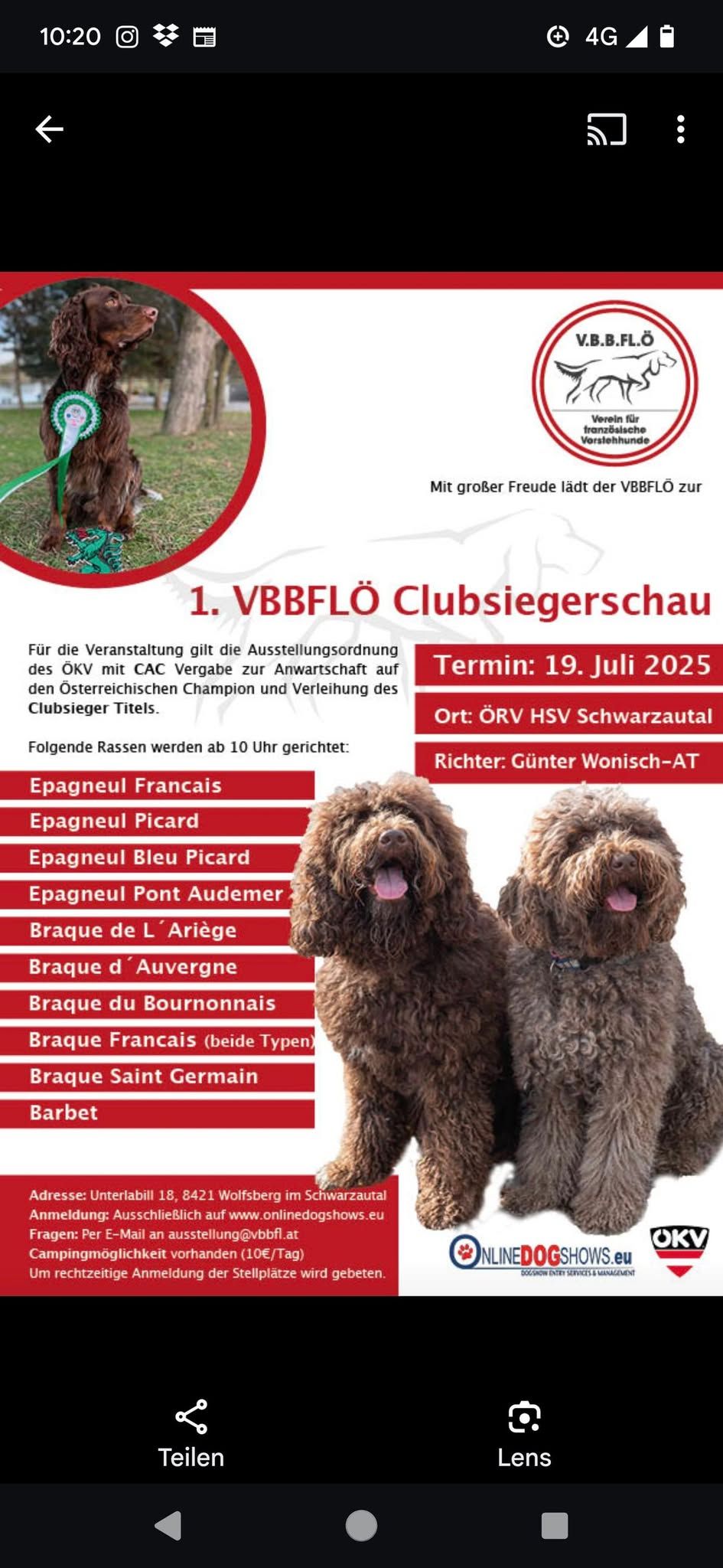 1. VBBFL\u00d6 Clubsiegerschau 