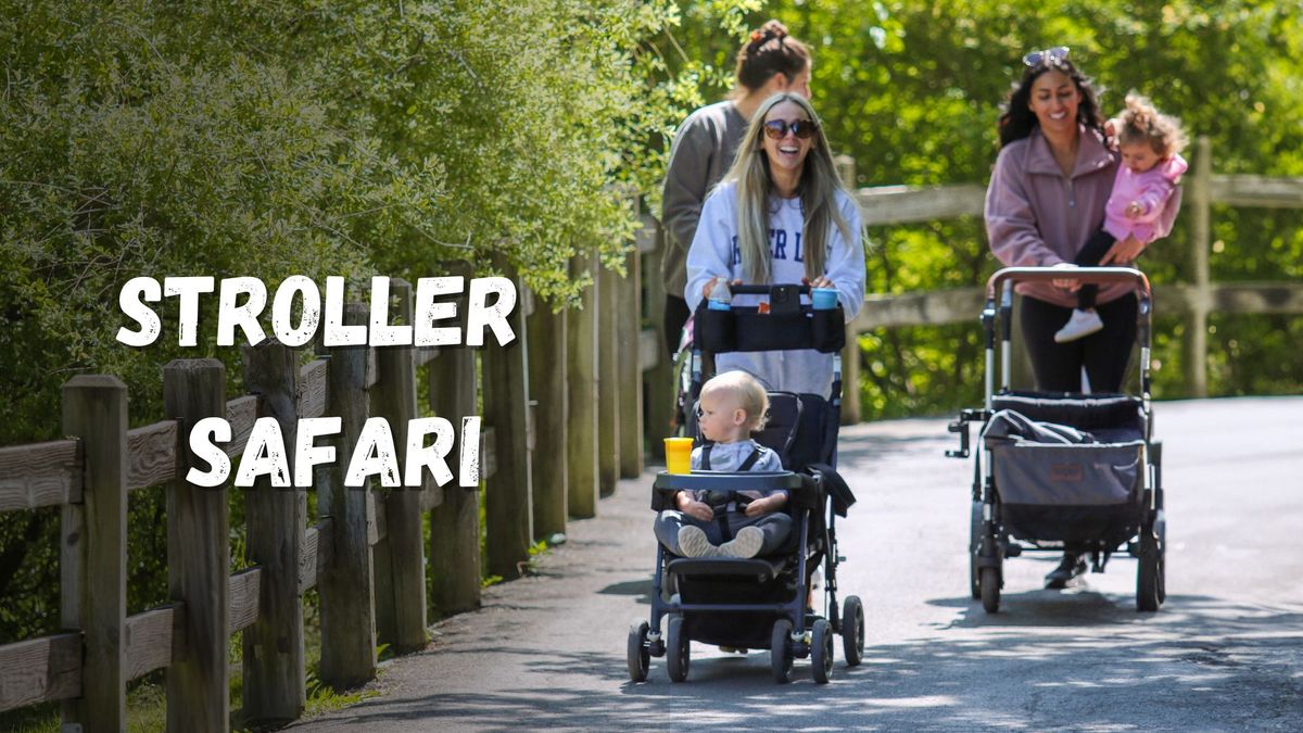 Stroller Safari 