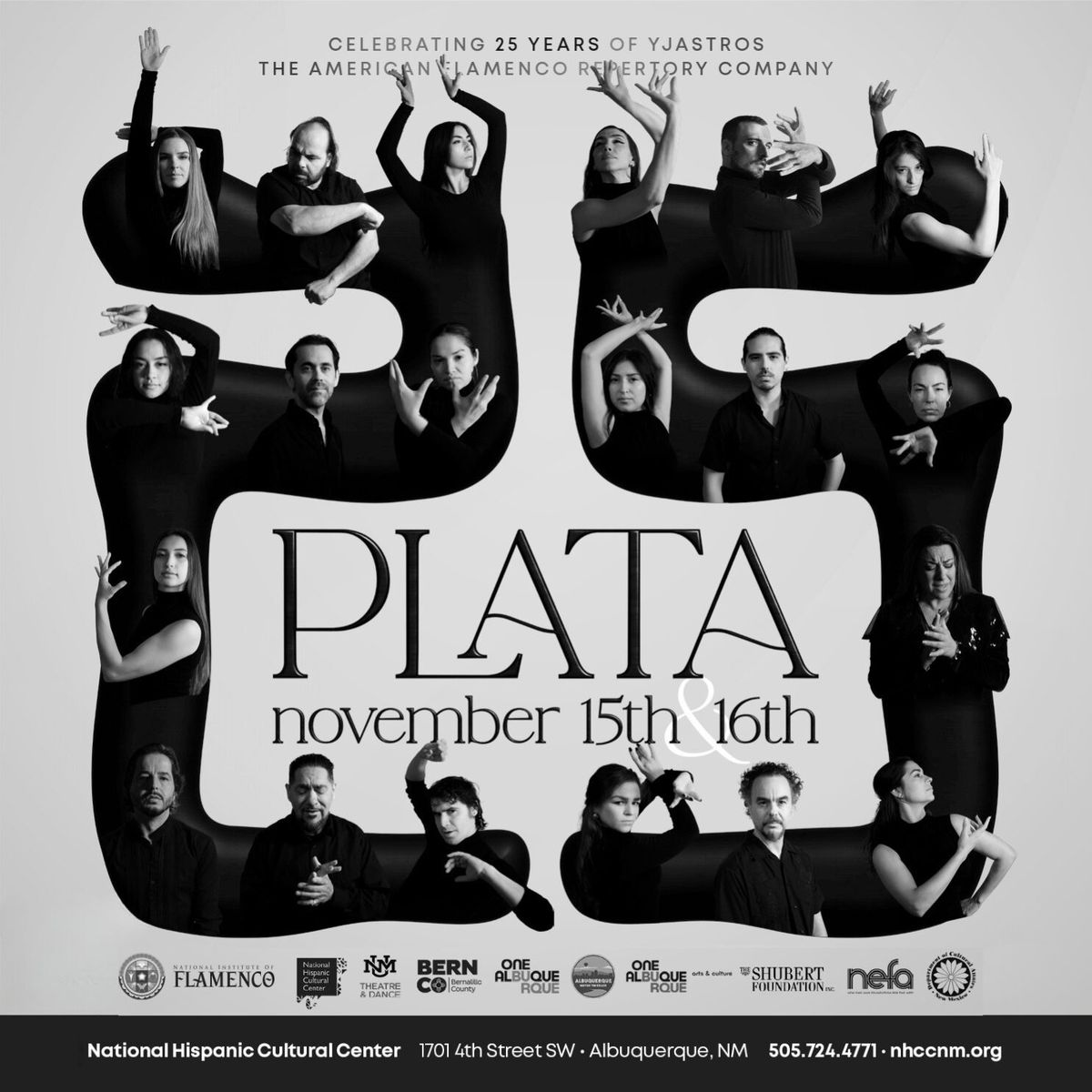 PLATA: 25 Years of Yjastros