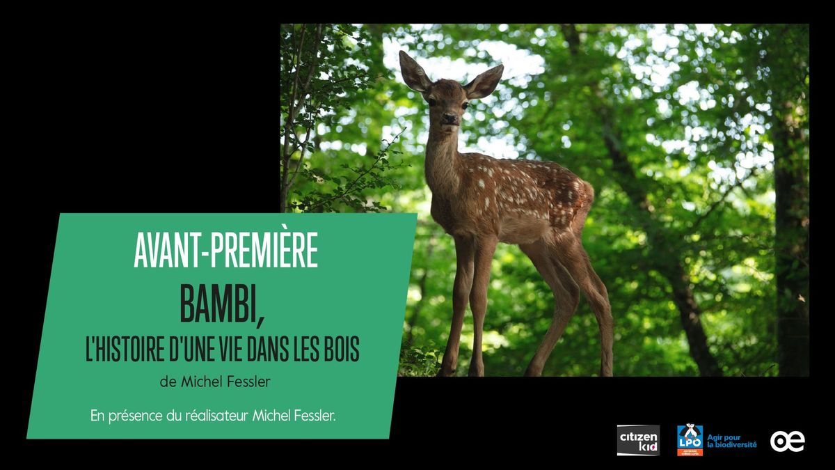 Avant-premi\u00e8re : Bambi, L'histoire d'une vie dans les bois