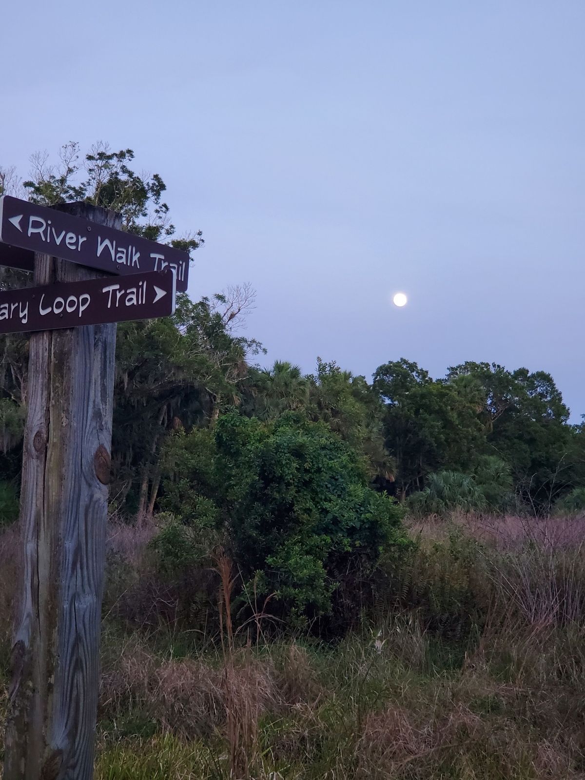 Adult Night Hike