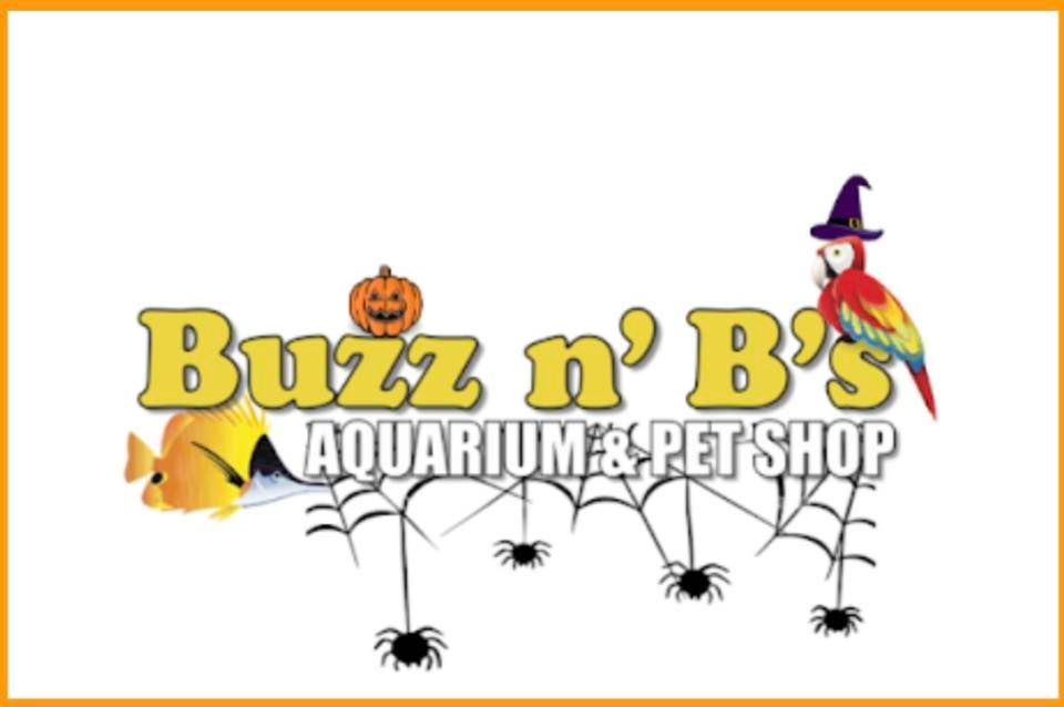 Buzz n’ B’s Boo Bash, 2500 Yoder Dr, Erie, PA 165062366, United States