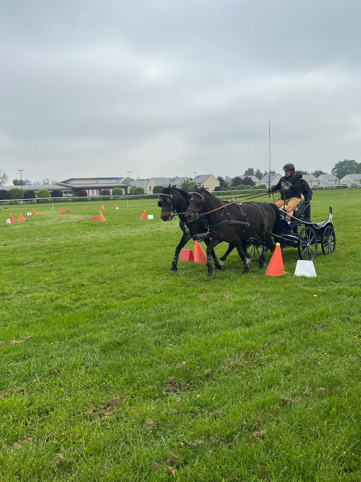 Concours d\u2019attelage Bacqueville en Caux 2025