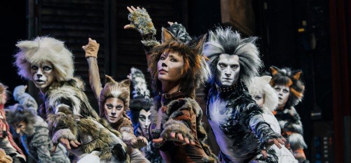 Cats | Peeparrow Entertainment \/\/ Stagione 2024\/25