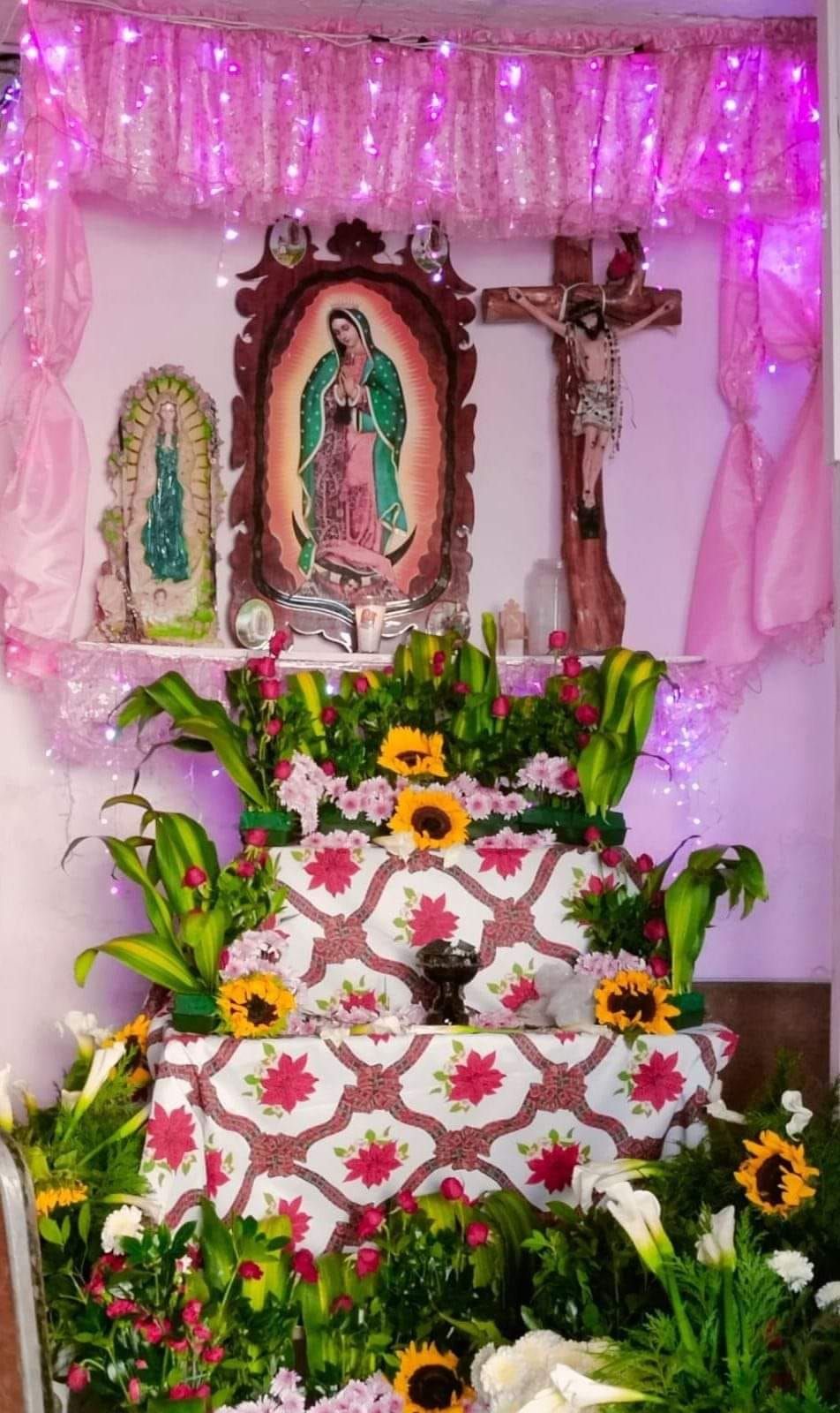 festividad del sr de Chalma y la virgen de Guadalupe 