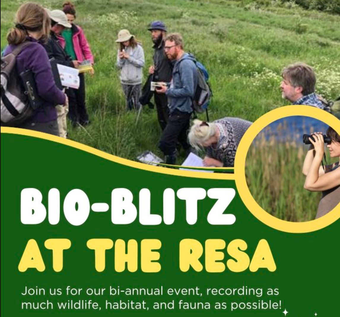 Bio-Blitz at the Resa