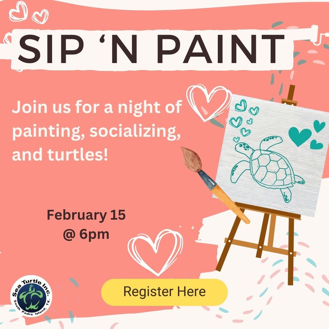 Sea Turtle Inc Sip N' Paint