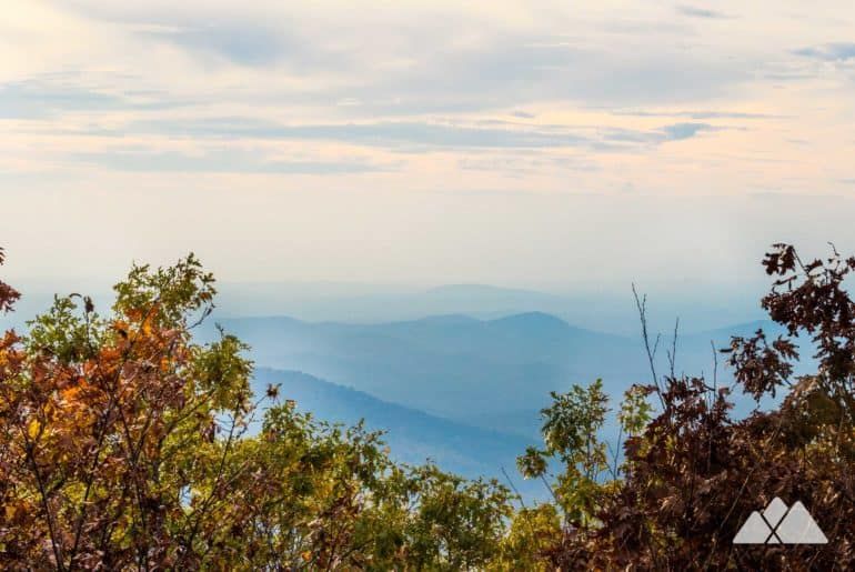 Springer Mountain Trail Ride