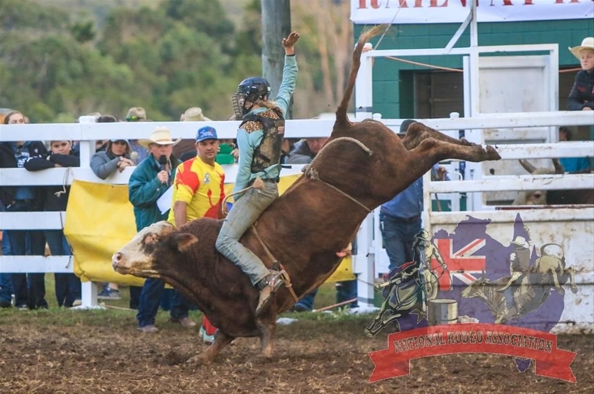 Mt Morgan Rodeo