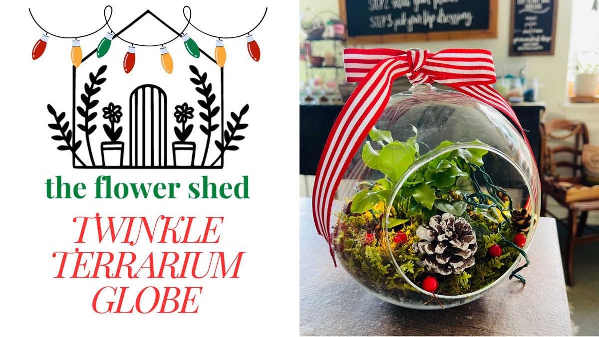 Twinkle Terrarium Globe