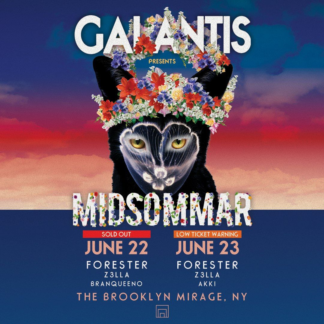 Galantis at Brooklyn Mirage - Avant Gardner