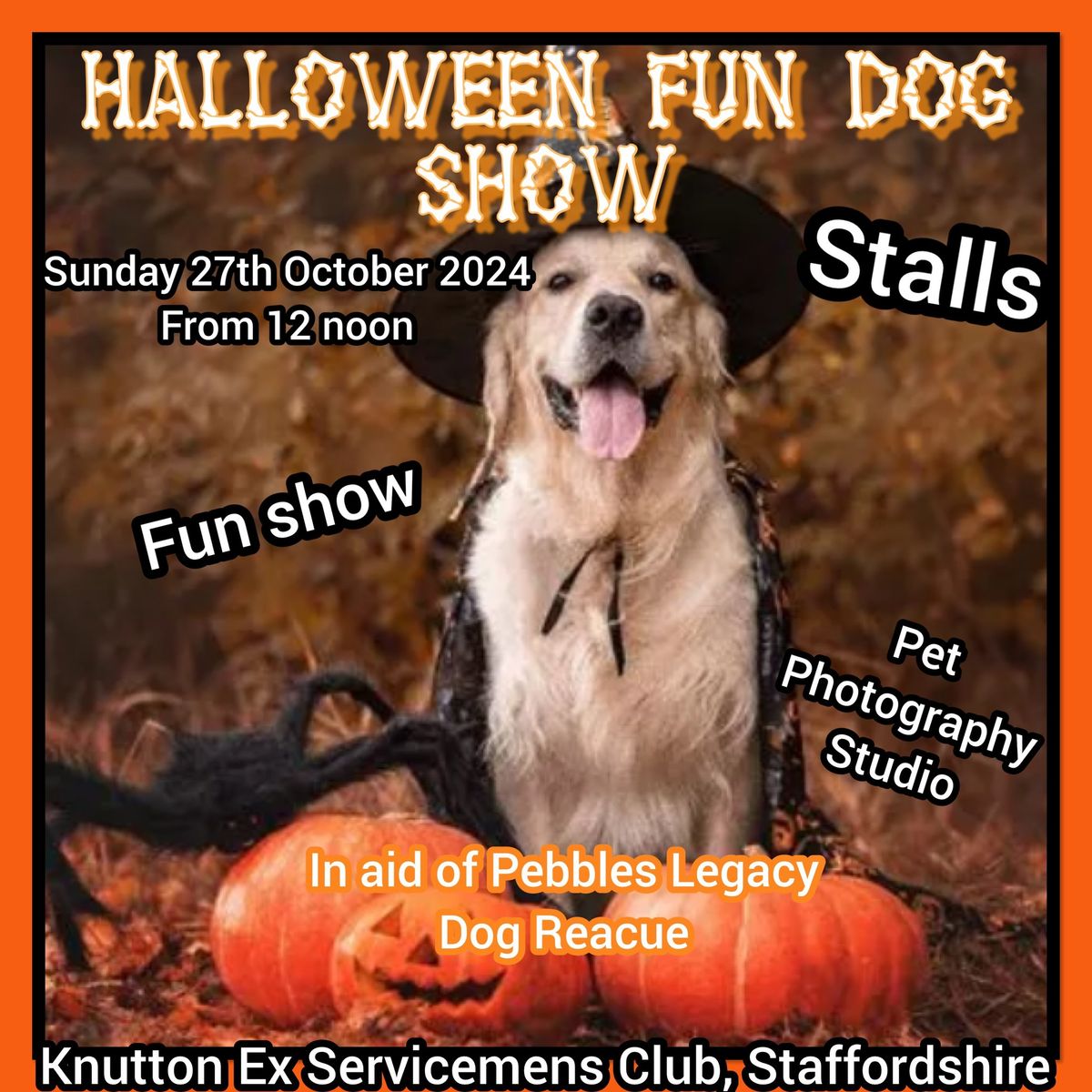 HALLOWEEN FUN DOG SHOW