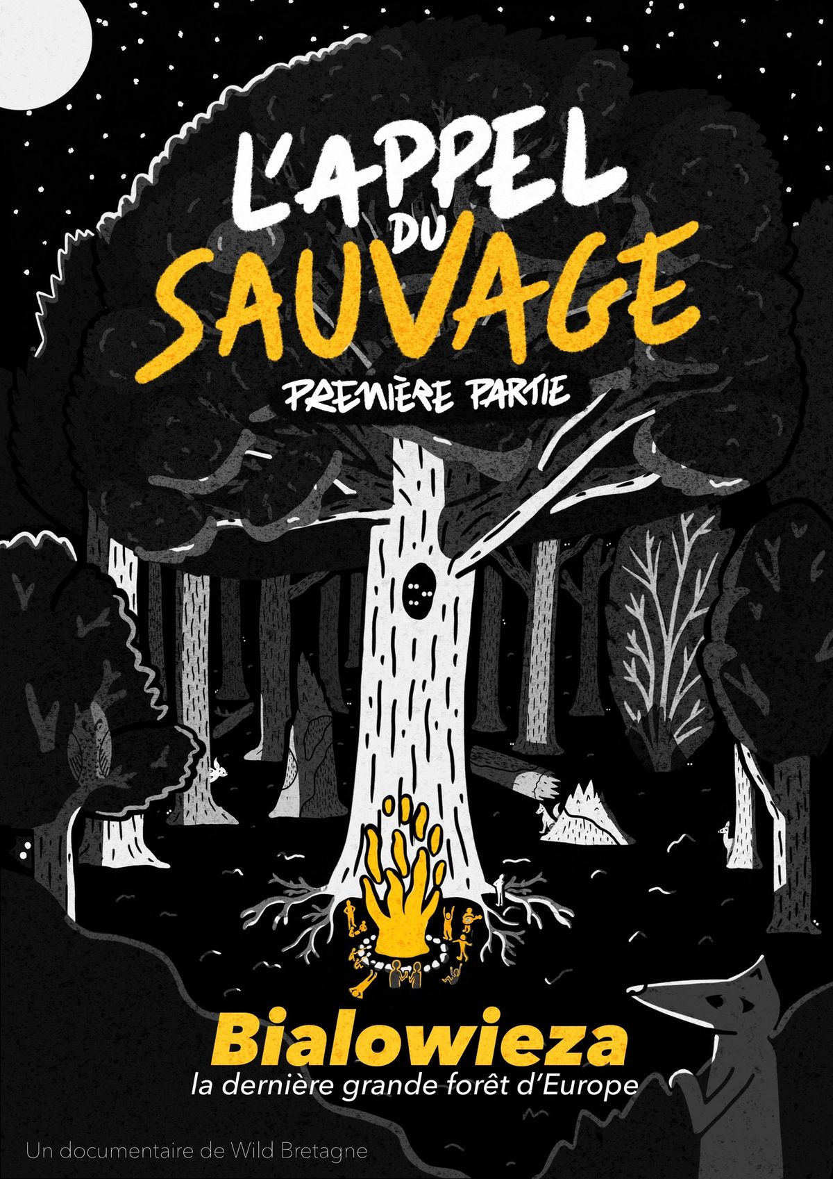 Projection documentaire : L'appel du sauvage: Bialowieza, la derni\u00e8re grande for\u00eat sauvage d'Europe