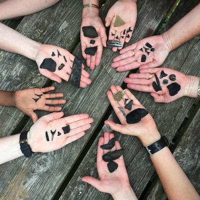 Charleston Fossil Adventures, LLC