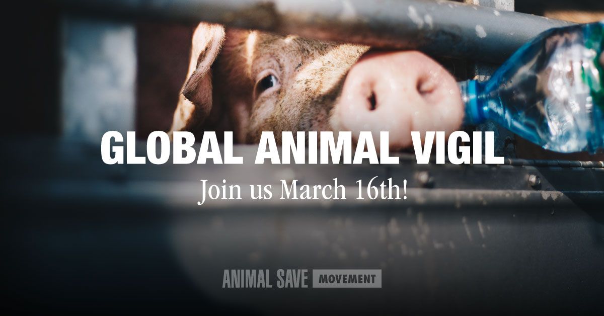 Global Animal Vigil - Orlando