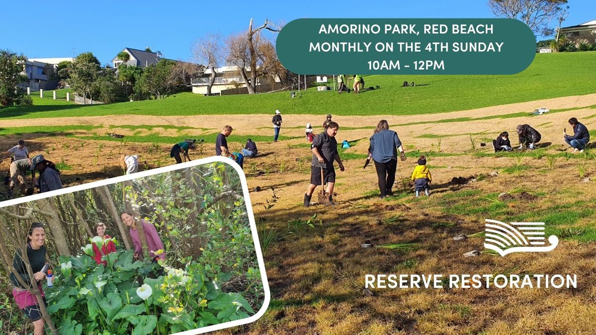 Amorino Park - Volunteer Restoration Morning