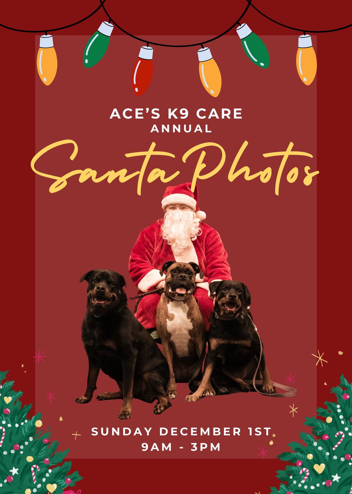 Santa Pet Photo's Fundraiser \ud83c\udf85\ud83c\udffd 